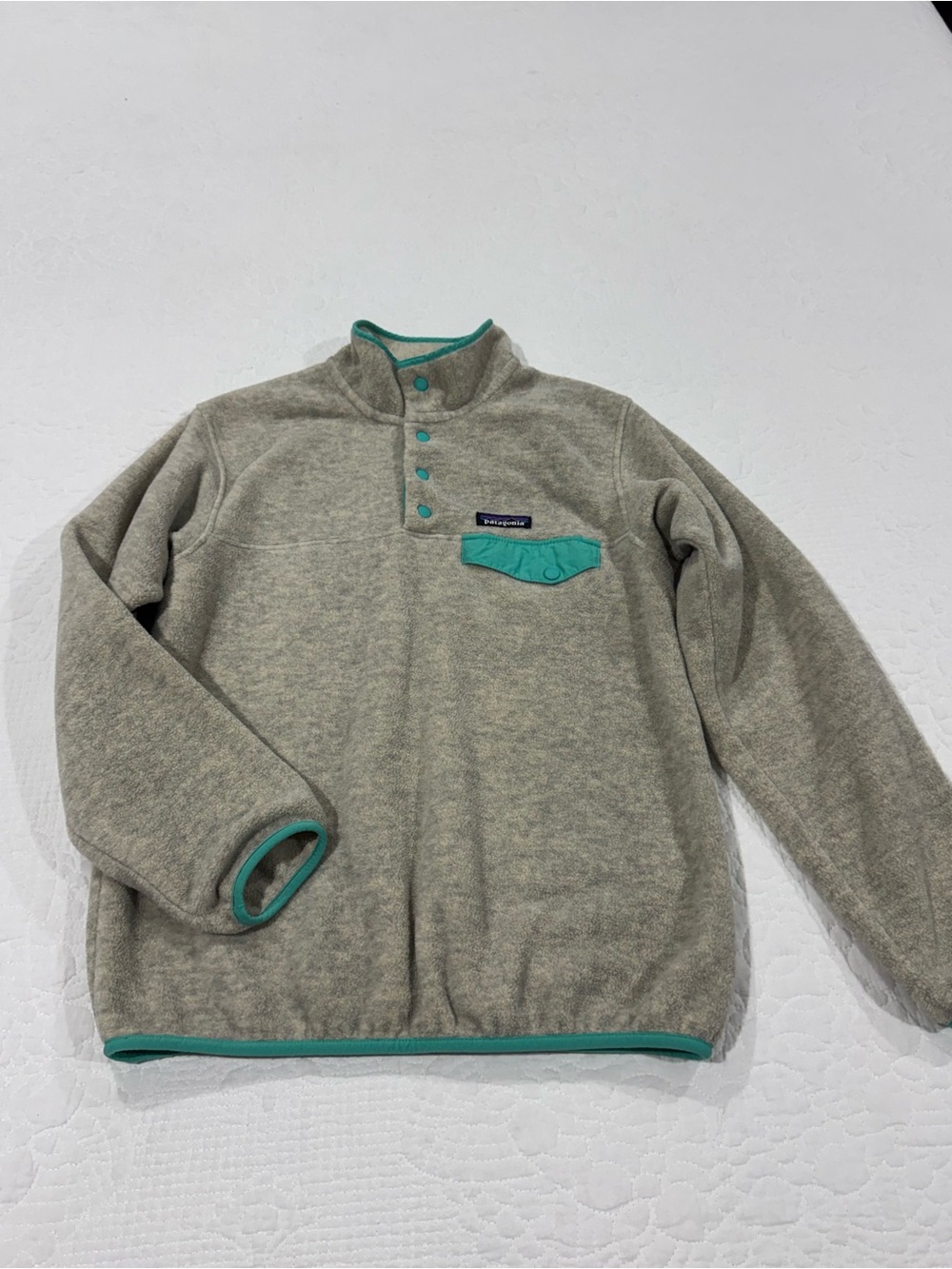 Patagonia Synchilla Pullover